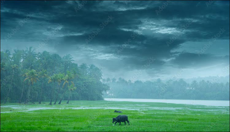 RAIN-KERALA