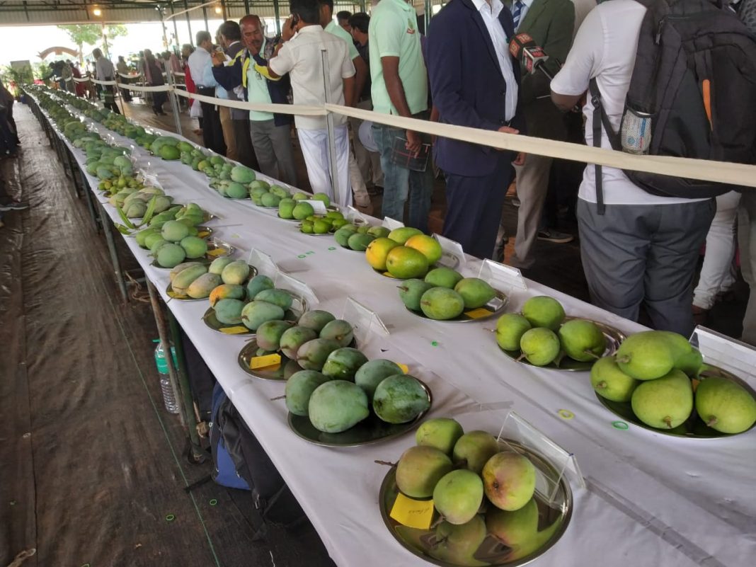 mango-fest