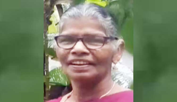 തൊഴിലുറപ്പ് ജോലിക്കിടെ അണലിയുടെ കടിയേറ്റ സ്ത്രീ മരിച്ചു