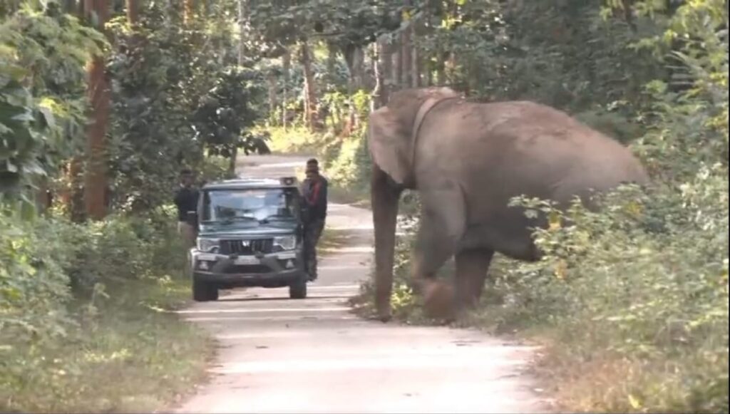 മനുഷ്യ-വന്യജീവി സംഘര്ഷം: ബന്ദിപ്പൂര്, നാഗര്ഹോള ടൂറിസം സഫാരികള് നിര്ത്തിവെച്ചു