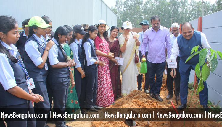 വൃക്ഷത്തൈകള് നട്ടു