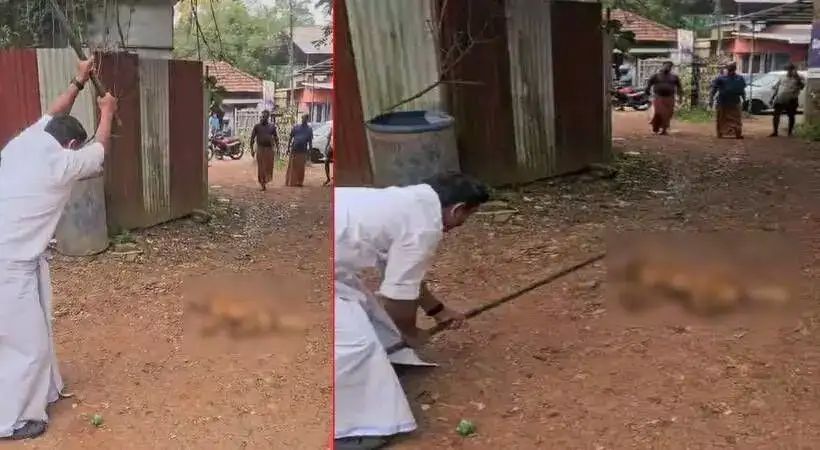 കൊല്ലത്ത് തെരുവുനായയെ തല്ലിക്കൊന്നു; യുഡിഎഫ് സ്ഥാനാര്ഥിക്കെതിരേ കേസ്
