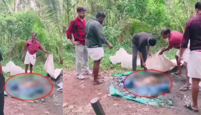 കോഴിക്കോട് യുവാക്കള്ക്ക് കുറുനരിയുടെ കടിയേറ്റു