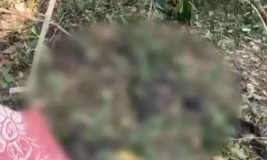 കോഴിക്കോട്ട് ആളൊഴിഞ്ഞ പറമ്പിൽ അസ്ഥികൂടം കണ്ടെത്തി