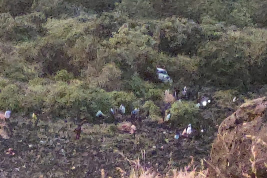 കാർ 800 അടിയോളം താഴ്ചയുള്ള കൊക്കയിലേക്ക് മറിഞ്ഞ് ഒരുകുടുംബത്തിലെ ആറ് പേര് മരിച്ചു