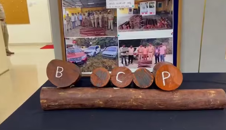 1.75 കോടിയുടെ രക്തചന്ദനം പിടികൂടി; അഞ്ചുപേർ അറസ്റ്റിൽ