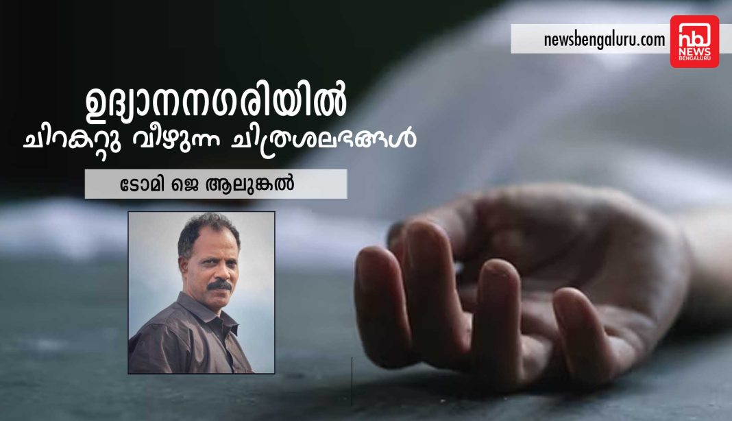 ഉദ്യാനനഗരിയിൽ ചിറകറ്റു വീഴുന്ന ചിത്രശലഭങ്ങൾ