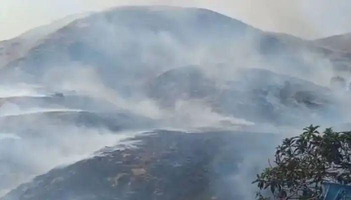 വാഗമണില് കാട്ടുതീ ഭീതിപരത്തി