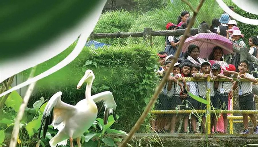 കാണാം പുതുലോകം; പുത്തൂര് സുവോളജിക്കൽ പാർക്ക് പൊതുജനങ്ങൾക്കായി ശനിയാഴ്ച തുറക്കും