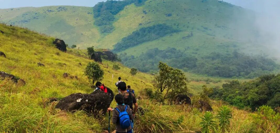 ശരണ്യയെ കാണാതായ സംഭവം: തടിയൻഡമോള് ട്രക്കിങ്ങിന് താത്കാലിക വിലക്ക്