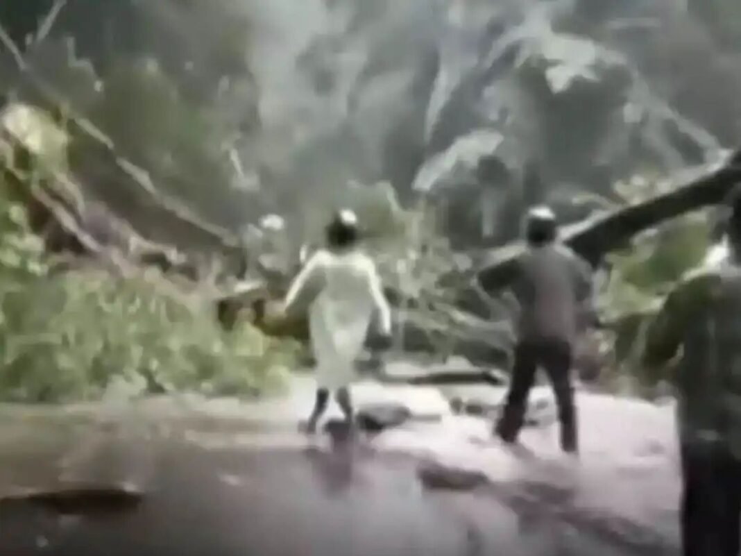 കനത്ത മഴ; വയനാട് ചുരത്തില് മരം പൊട്ടിവീണ് വൻ ഗതാഗതക്കുരുക്ക് കനത്ത മഴ; വയനാട് ചുരത്തില് മരം പൊട്ടിവീണ് വൻ ഗതാഗതക്കുരുക്ക്