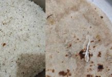 നഴ്സിങ് കോളജ് ഹോസ്റ്റലുകളിലെ ഭക്ഷണത്തിൽ പുഴുവും പാറ്റയും; ഭക്ഷ്യവിതരണ ഏജൻസിയുടെ ലൈസൻസ് സസ്പെൻഡ് ചെയ്തു