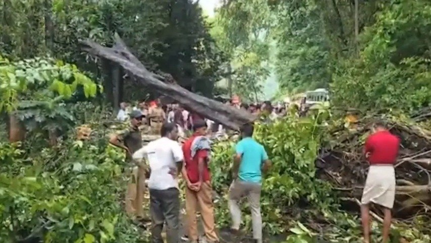താമരശ്ശേരി ചുരത്തിൽ രണ്ടാം വളവിന് താഴെ മരം കടപുഴകി വീണു; ഗതാഗതം തടസപ്പെട്ടു താമരശ്ശേരി ചുരത്തിൽ രണ്ടാം വളവിന് താഴെ മരം കടപുഴകി വീണു; ഗതാഗതം തടസപ്പെട്ടു