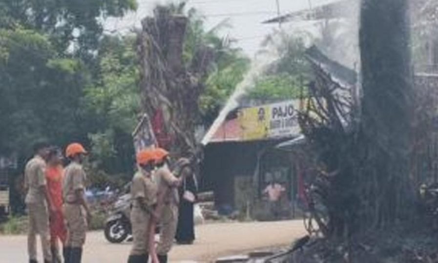 ആഹ്ലാദ പ്രകടനത്തിനിടയില് ആല്മരത്തില് പടക്കം കെട്ടിയിട്ട് പൊട്ടിച്ചു; അഗ്നിരക്ഷ സേനയെത്തി തീയണച്ചു ആഹ്ലാദ പ്രകടനത്തിനിടയില് ആല്മരത്തില് പടക്കം കെട്ടിയിട്ട് പൊട്ടിച്ചു; അഗ്നിരക്ഷ സേനയെത്തി തീയണച്ചു