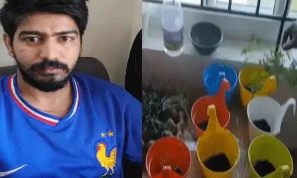 ഫ്ലാറ്റിനുള്ളില് അത്യാധുനിക രീതിയില് കഞ്ചാവ് കൃഷി; ഐടി മാനേജര് പിടിയില് ഫ്ലാറ്റിനുള്ളില് അത്യാധുനിക രീതിയില് കഞ്ചാവ് കൃഷി; ഐടി മാനേജര് പിടിയില്