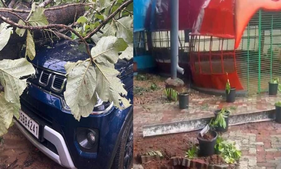 തൃശൂരില് മിന്നല് ചുഴലി; മരങ്ങൾ കടപുഴകി, വാഹനങ്ങൾ തകർന്നു, വ്യാപക നാശനഷ്ടം തൃശൂരില് മിന്നല് ചുഴലി; മരങ്ങൾ കടപുഴകി, വാഹനങ്ങൾ തകർന്നു, വ്യാപക നാശനഷ്ടം