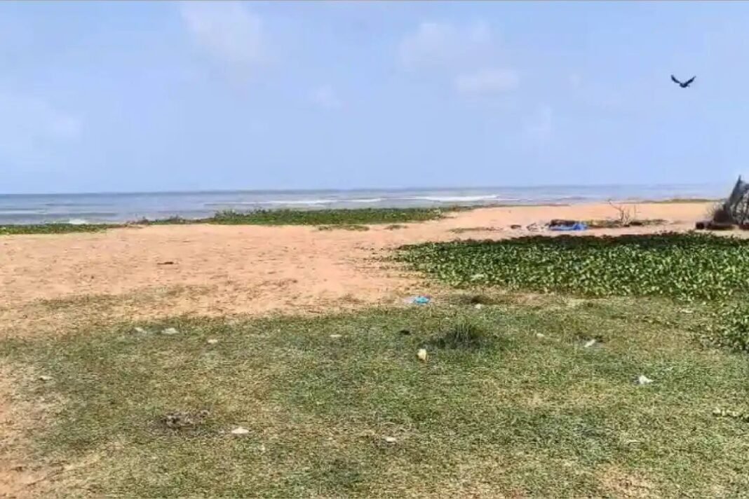കാസറഗോഡ് തലയില്ലാത്ത മൃതദേഹം കരയ്ക്കടിഞ്ഞു; ശരീരത്തിന് ഒരു മാസത്തിലധികം പഴക്കം കാസറഗോഡ് തലയില്ലാത്ത മൃതദേഹം കരയ്ക്കടിഞ്ഞു; ശരീരത്തിന് ഒരു മാസത്തിലധികം പഴക്കം