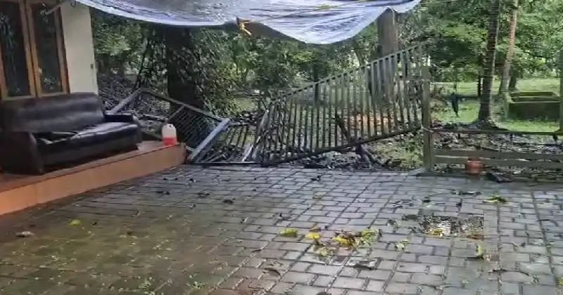 നിലമ്പൂരില് കാട്ടാന ആക്രമണം; വീടിന്റെ ഗെയ്റ്റും മതിലും തകര്ത്തു നിലമ്പൂരില് കാട്ടാന ആക്രമണം; വീടിന്റെ ഗെയ്റ്റും മതിലും തകര്ത്തു