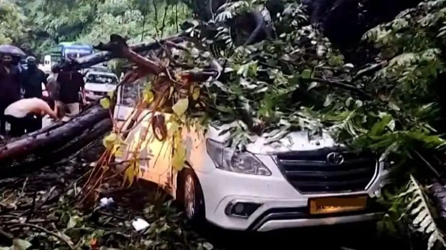 താമരശ്ശേരി ചുരത്തില് കാറിന് മുകളിലേക്ക് മരം ഒടിഞ്ഞുവീണു; ഗതാഗതം പൂര്ണ്ണമായും തടസ്സപ്പെട്ടു താമരശ്ശേരി ചുരത്തില് കാറിന് മുകളിലേക്ക് മരം ഒടിഞ്ഞുവീണു; ഗതാഗതം പൂര്ണ്ണമായും തടസ്സപ്പെട്ടു