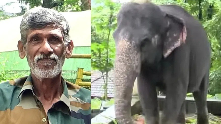 കോന്നി ആനത്താവളത്തില് പാപ്പാനെ ആന കുത്തിക്കൊന്നു കോന്നി ആനത്താവളത്തില് പാപ്പാനെ ആന കുത്തിക്കൊന്നു