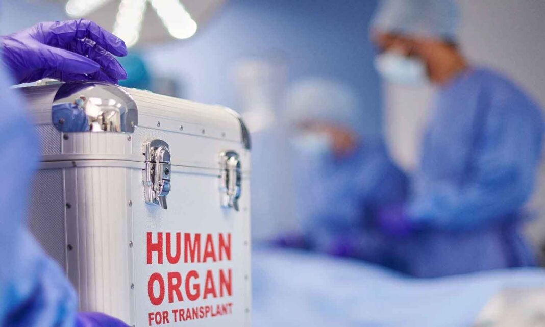 വാഹനാപകടത്തിൽ മസ്തിഷ്ക മരണം; 19കാരന്റെ അവയവങ്ങൾ ദാനം ചെയ്ത് മാതാപിതാക്കൾ വാഹനാപകടത്തിൽ മസ്തിഷ്ക മരണം; 19കാരന്റെ അവയവങ്ങൾ ദാനം ചെയ്ത് മാതാപിതാക്കൾ