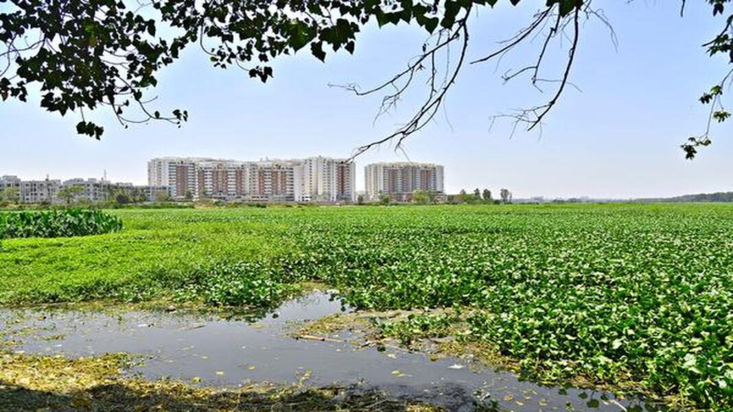വരൾച്ചയും ജലക്ഷാമവും; കർണാടകയിൽ 500 തടാകങ്ങൾ പുനരുജ്ജീവിപ്പിക്കാൻ 150 കോടിയുടെ പദ്ധതി വരൾച്ചയും ജലക്ഷാമവും; കർണാടകയിൽ 500 തടാകങ്ങൾ പുനരുജ്ജീവിപ്പിക്കാൻ 150 കോടിയുടെ പദ്ധതി