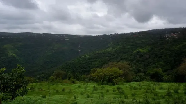 കർഷകരെയും ജനങ്ങളെയും ബാധിക്കുമെന്ന ആശങ്ക; കസ്തൂരിരംഗൻ റിപ്പോർട്ട് നടപ്പാക്കില്ലെന്ന് സർക്കാർ കർഷകരെയും ജനങ്ങളെയും ബാധിക്കുമെന്ന ആശങ്ക; കസ്തൂരിരംഗൻ റിപ്പോർട്ട് നടപ്പാക്കില്ലെന്ന് സർക്കാർ