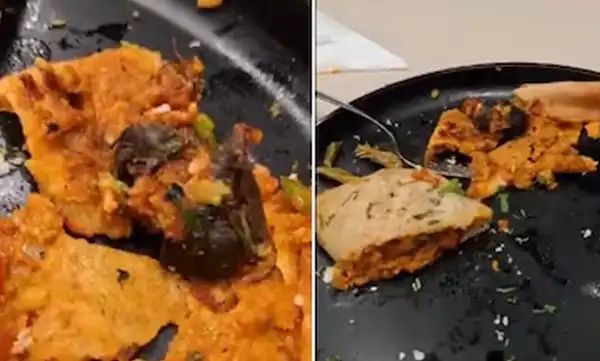 ദോശയില് ചത്ത എലി കണ്ടെത്തിയെന്ന് ആരോപണം; പിന്നാലെ 25 ലക്ഷം ആവശ്യപ്പെട്ട് ഹോട്ടല് ഉടമയെ ഭീഷണിപ്പെടുത്തിയ യുവതി അറസ്റ്റില് ദോശയില് ചത്ത എലി കണ്ടെത്തിയെന്ന് ആരോപണം; പിന്നാലെ 25 ലക്ഷം ആവശ്യപ്പെട്ട് ഹോട്ടല് ഉടമയെ ഭീഷണിപ്പെടുത്തിയ യുവതി അറസ്റ്റില്