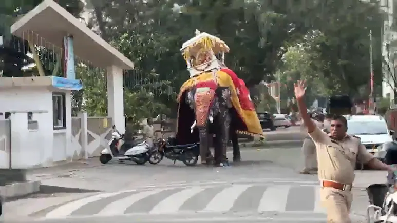 ശിവമൊഗ്ഗയിൽ ദസറ ജംബോ സവാരിക്കിടെ അമ്പാരി ആന ഇടഞ്ഞു ശിവമൊഗ്ഗയിൽ ദസറ ജംബോ സവാരിക്കിടെ അമ്പാരി ആന ഇടഞ്ഞു